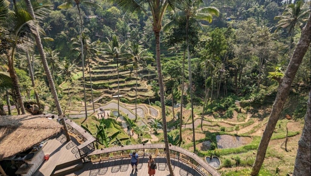 tegalalang rice terrace swing uma ceking