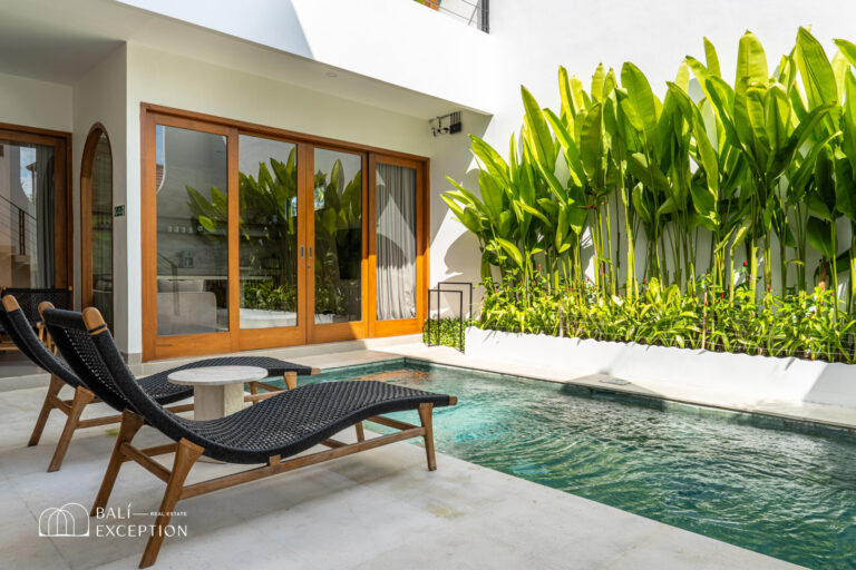 Modern villa patio with pool and plants.