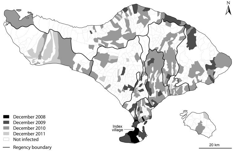 rabies map in 2008 bali