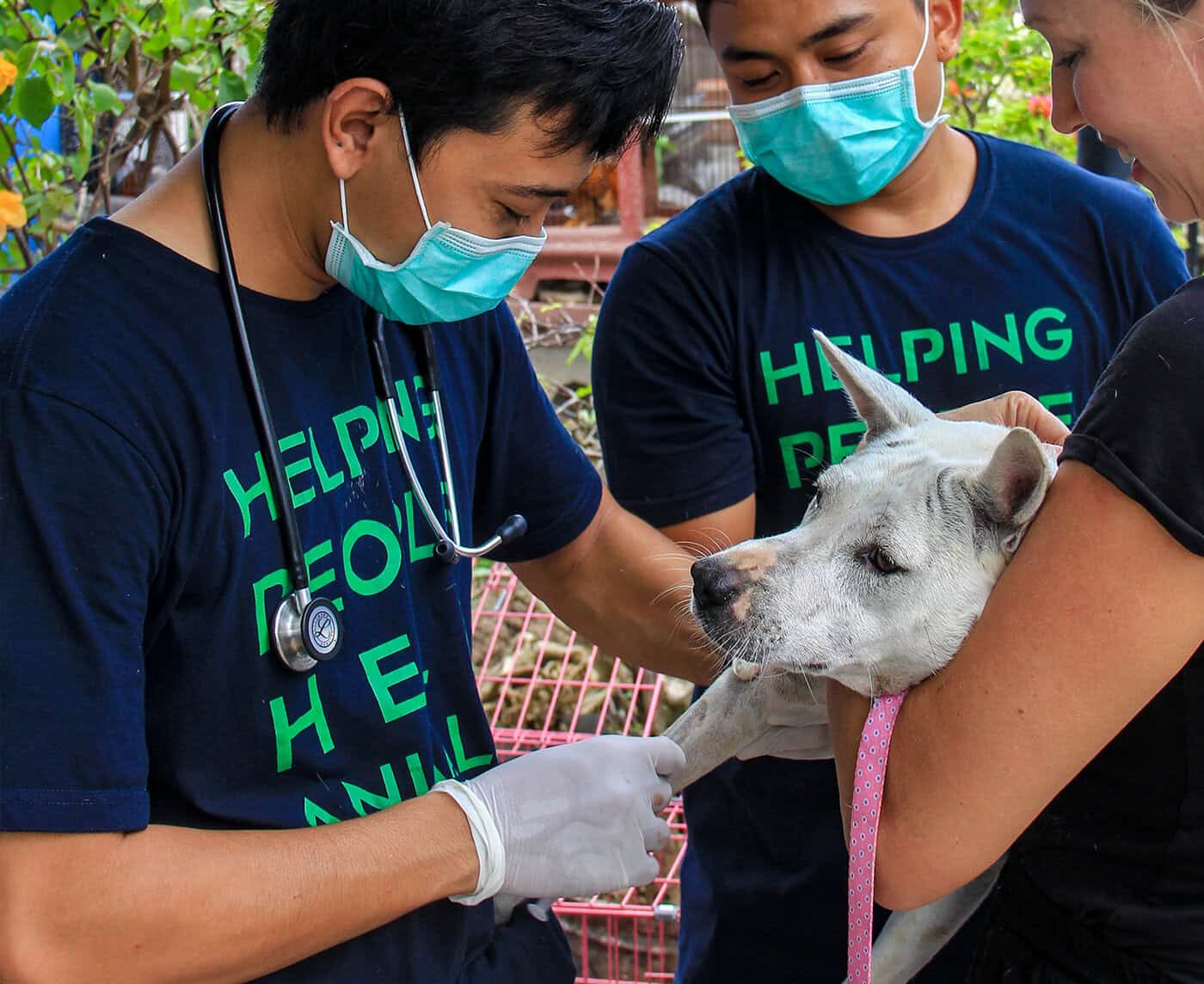 Veterinarians helping a dog outdoors