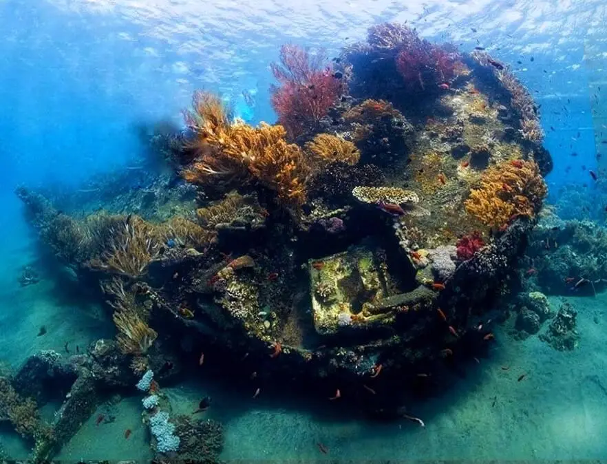 Underwater shipwreck covered with coral and marine life