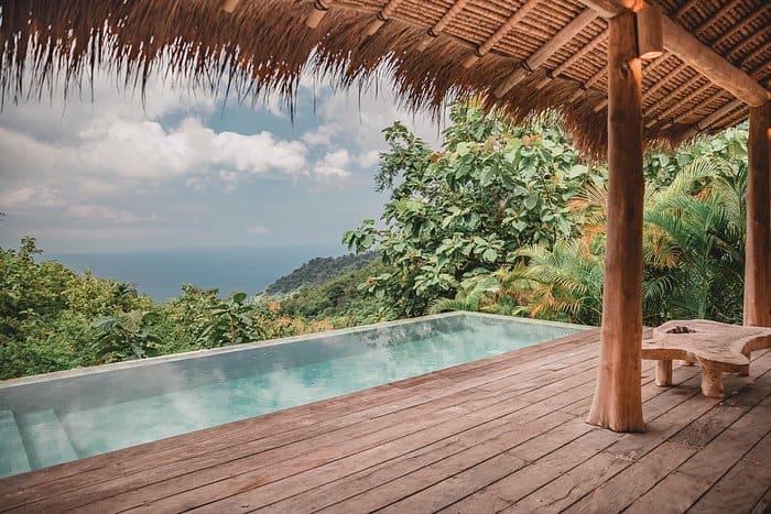 Infinity pool with ocean view and lush foliage.