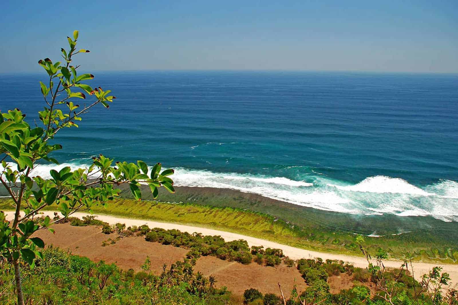 Scenic ocean view with waves and greenery