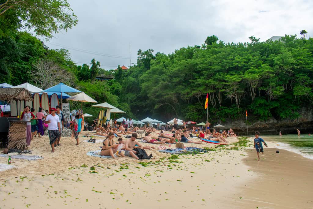 Crowded beach with umbrellas and greenery