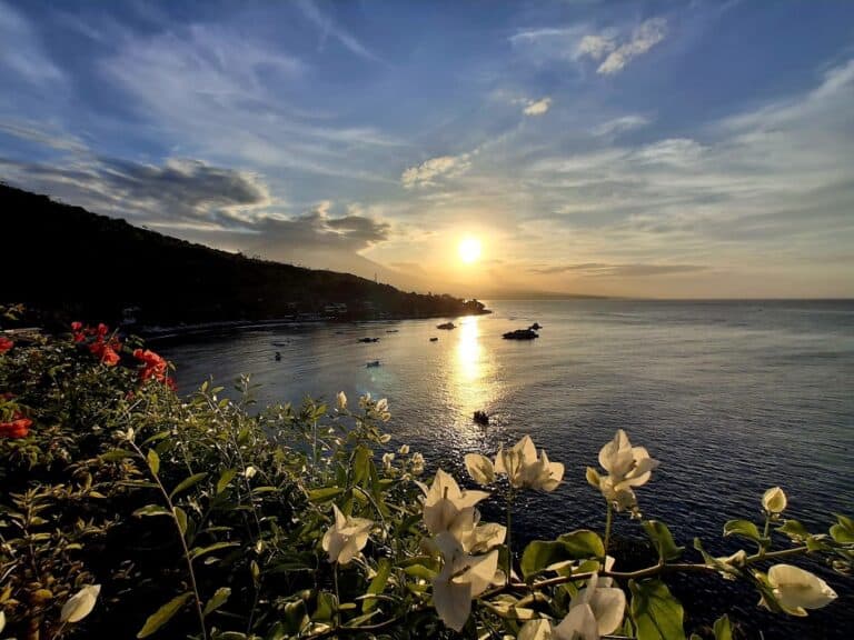 Sunset over ocean with flowers in foreground