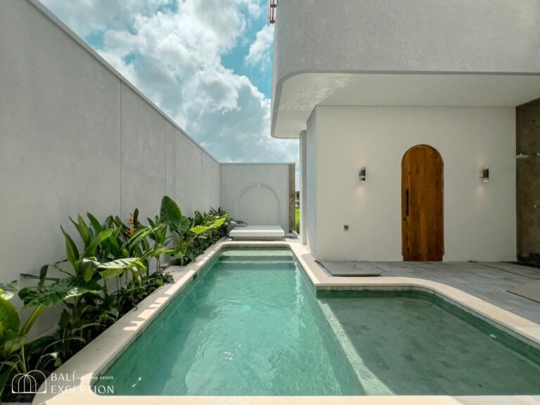 Modern house with a pool and garden