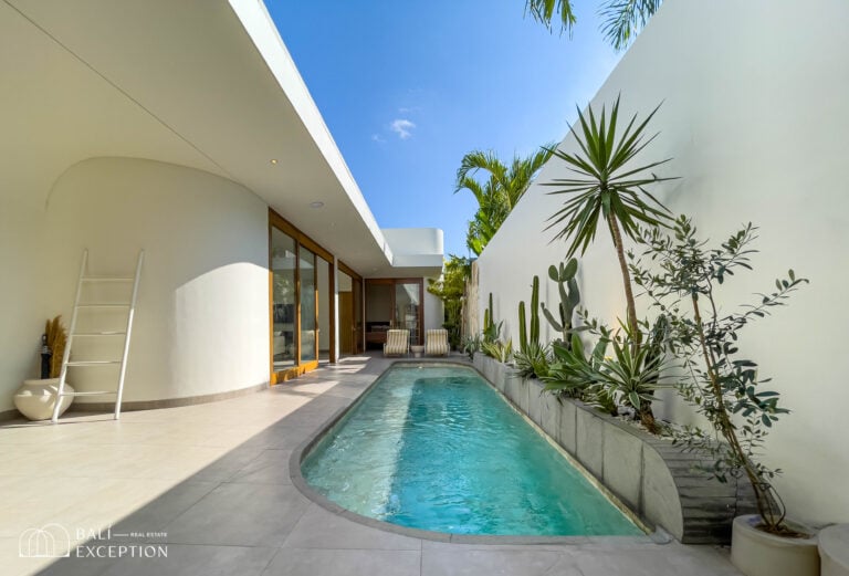 Modern villa with pool and plants