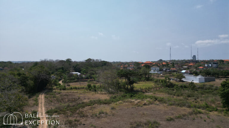 Aerial view of lush landscape with distant houses.