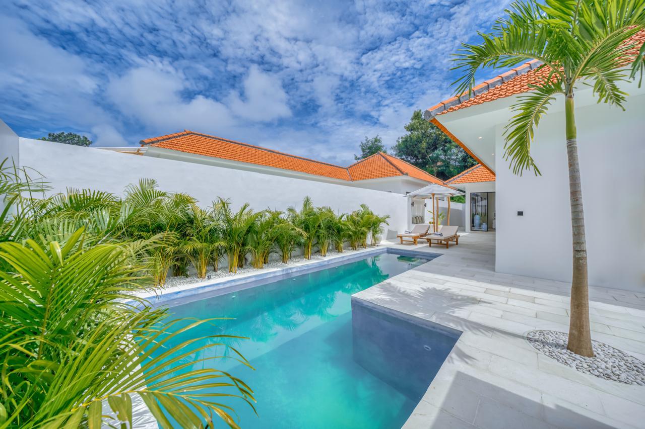 Modern villa with pool and palm trees