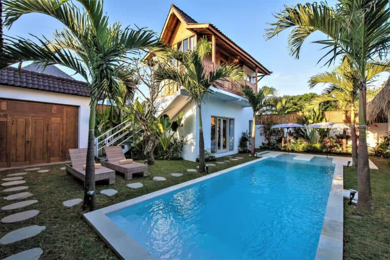 Tropical backyard with pool and palm trees