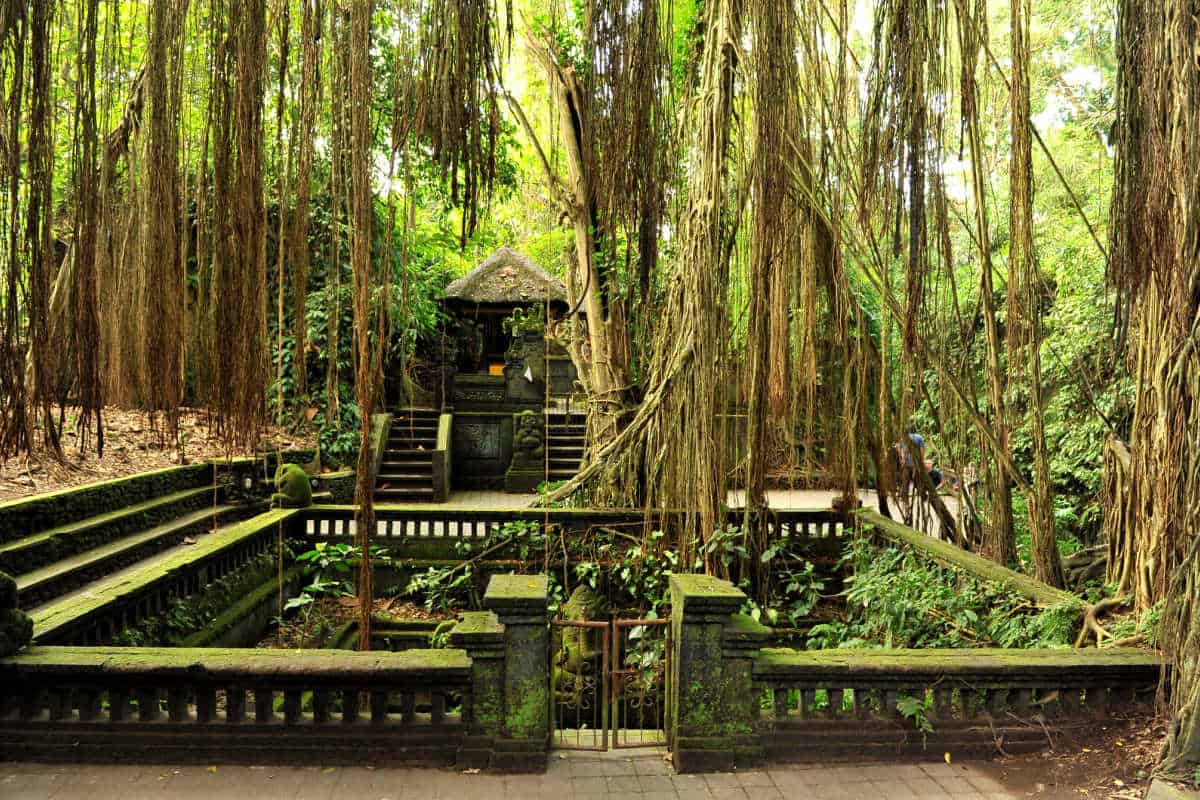 Ubud Monkey Forest temple, lush green jungle setting