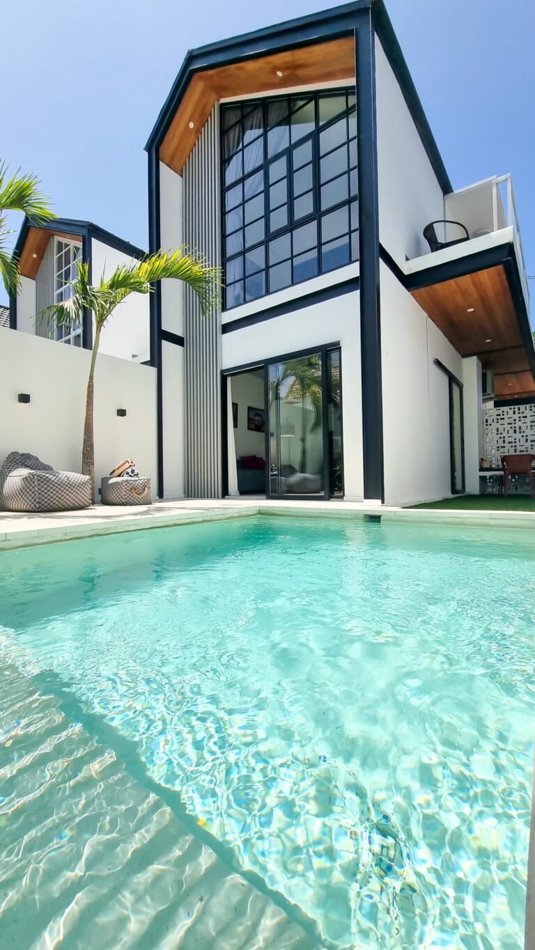 Modern house with swimming pool and palm tree