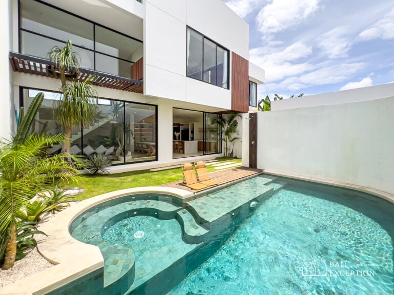 Modern villa with pool and garden