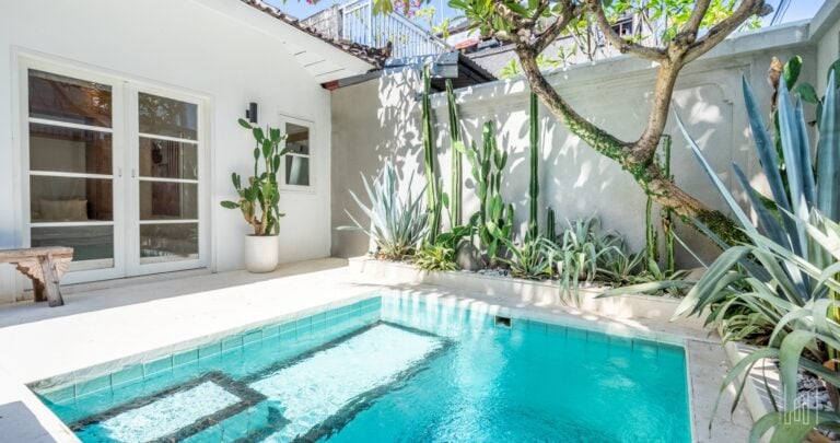 Modern patio with pool and tropical plants