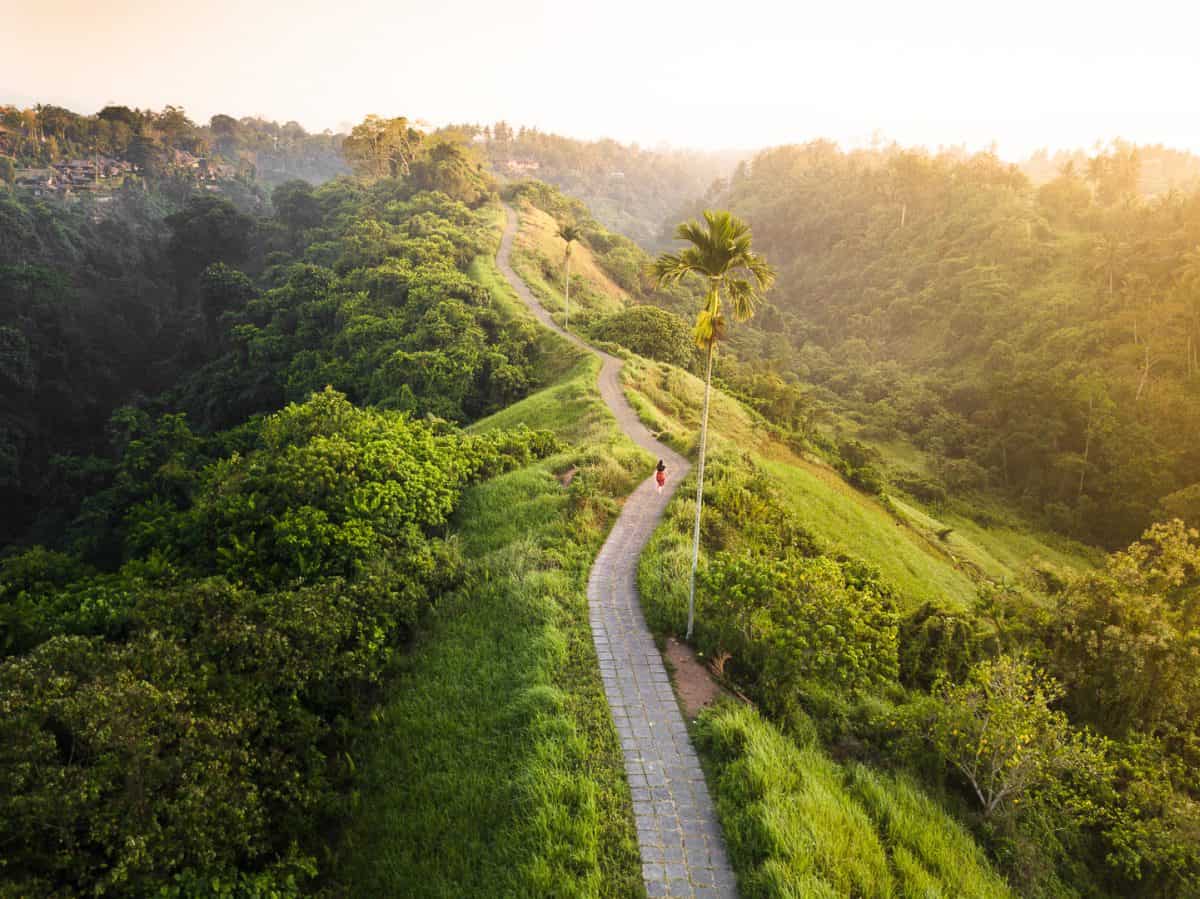 Scenic path through lush green hill landscape.