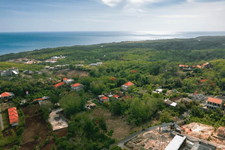 Aerial view of lush landscape and coastline.