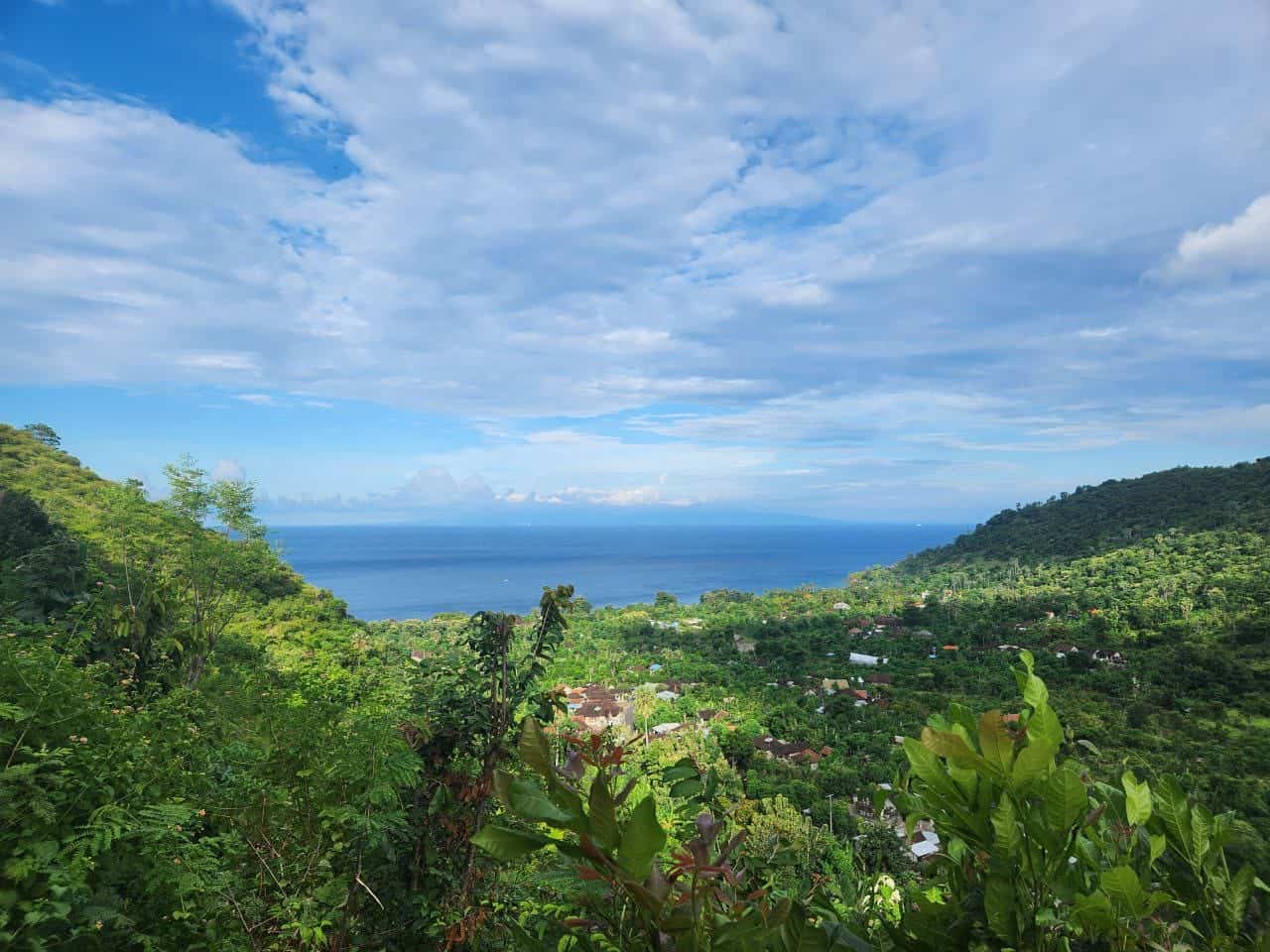 Lush green landscape with ocean view under blue sky.