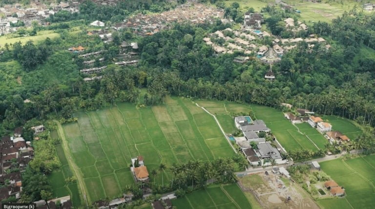 Aerial view of village and rice fields