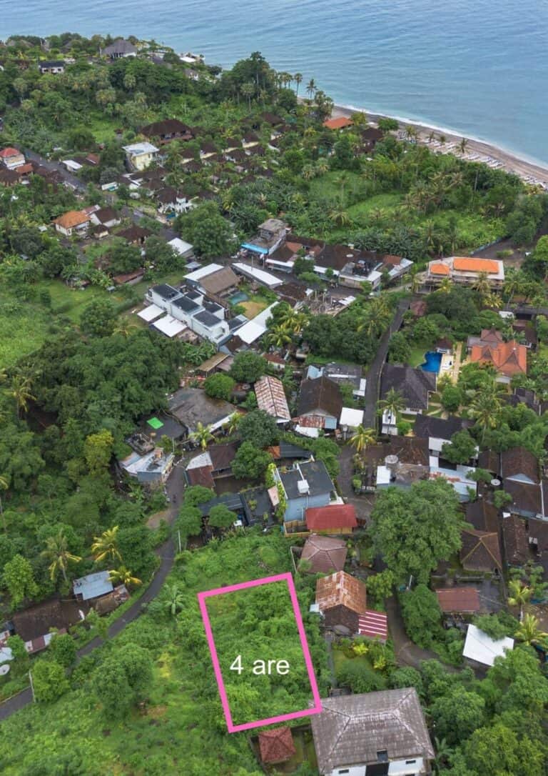 Aerial view of lush village near a beach.