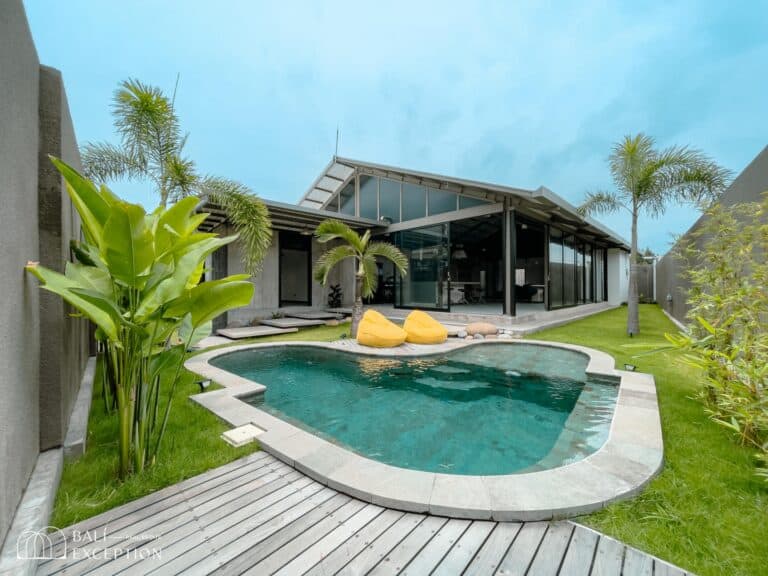 Modern villa with pool and garden