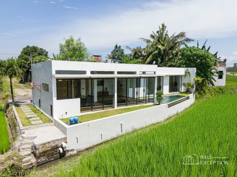 Modern house surrounded by lush greenery and rice fields.