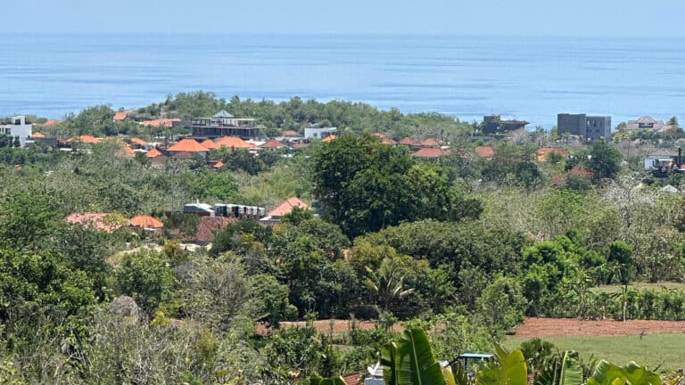 Lush village landscape with ocean view.