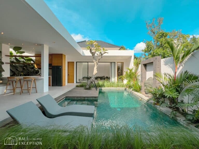 Modern villa with pool and tropical garden.