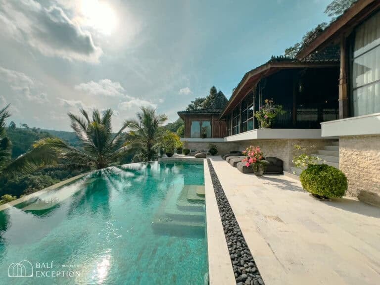 Luxury villa with infinity pool and palm trees