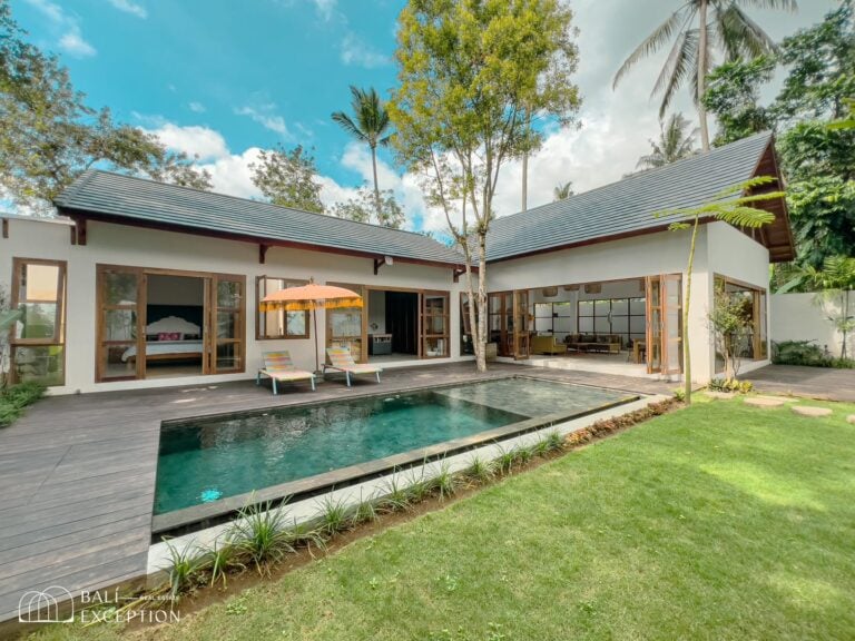Modern villa with pool and garden