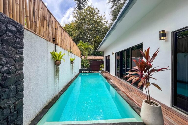 Modern backyard with swimming pool and tropical plants.