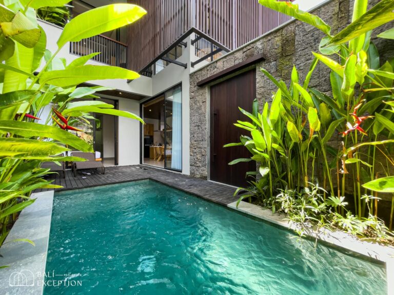Modern villa with pool and tropical plants.