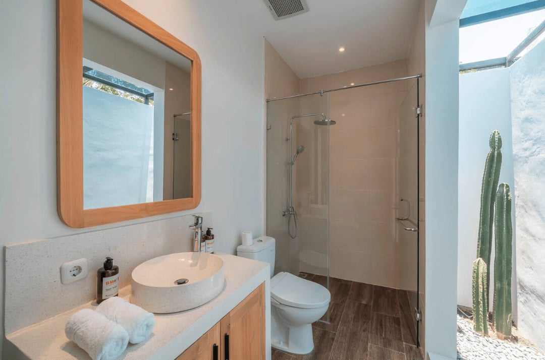 Modern bathroom with glass shower and cactus