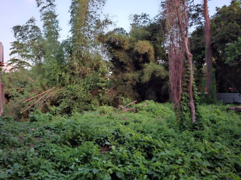 land 12,25 are for sale leasehold in nyanyi bel 65 (2)